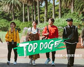 91吃瓜爆料《TOP DOG》免费在线观看