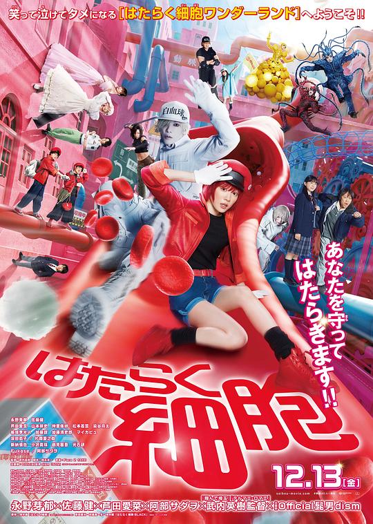 91吃瓜《工作细胞 真人版 はたらく細胞》免费在线观看
