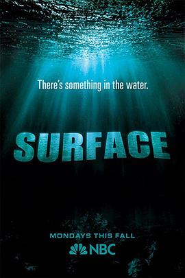 91吃瓜爆料《水下之秘 Surface》免费在线观看