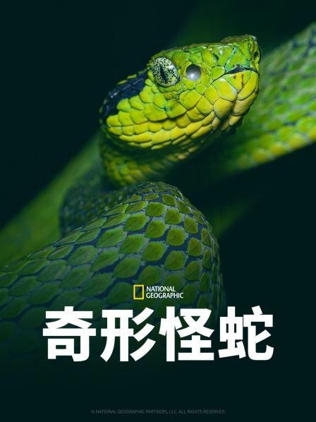 91吃瓜网《奇形怪蛇》免费在线观看